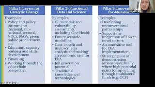 How to develop a logical framework and budget for the Global EbA Fund project proposal