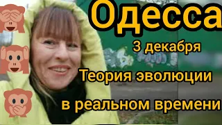 Одесса обстановка. Адаптация и теория эволюции в действии. Сегодня 3 декабря. Одеса. Odessa