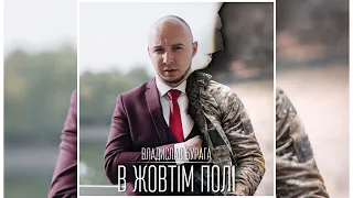 Владислав Бурага - В жовтім полі (feat.@MusicMan1408) [Official Audio]