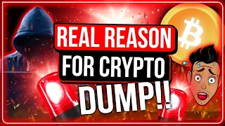 THE TRUTH ABOUT WHY CRYPTO IS ACTUALLY DUMPING! (BEST CRYPTO MARKET UPDATE TIPS)