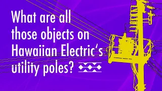 What's on a Utility Pole?