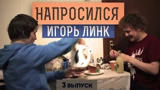 НАПРОСИЛСЯ: Игорь Линк