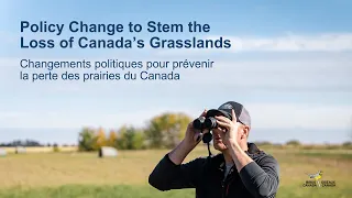 Policy Change to Stem the Loss of Canada's Grasslands Webinar