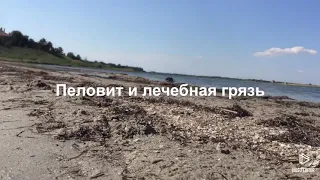 Лечебная грязь Шаболатского лимана