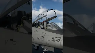 F 14 Tomcat in War Thunder