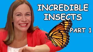 Incredible Insects | Treeschool | PART 1 | Educational Kids Videos