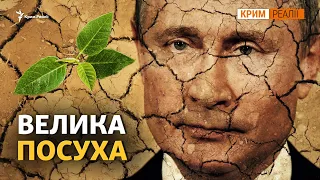 Херсонщині не вистачає води: «Хай попробують дати воду в Крим!»  | Крим.Реалії