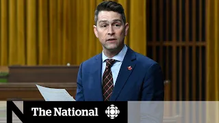Liberal MP caught on camera naked during question period