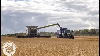 Harvest 2023 - 4 Front Farming - Fife, Scotland