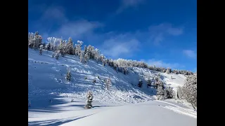 Rider triggered avalanche, Buck Ridge - 8 Jan 2021