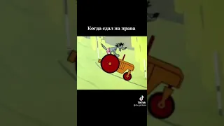 Я когда сдал на права