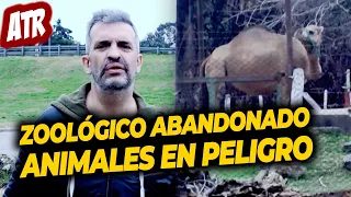 ZOOLÓGICO ATR: La gente les da de comer hamburguesas a los animales