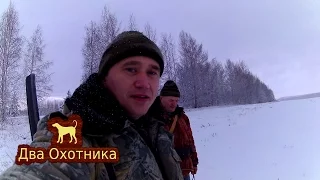 Охота на зайца. В поисках зайца.