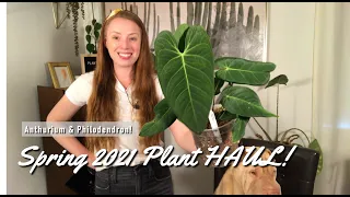 Spring 2021 Plant Haul | Trades! Imports! Ecuagenera LA Pop Up!