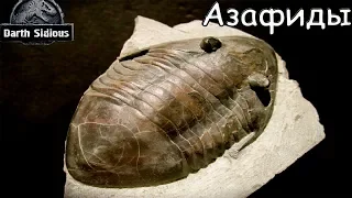 Развитие жизни на Земле (The Evolution of Life) - Азафиды