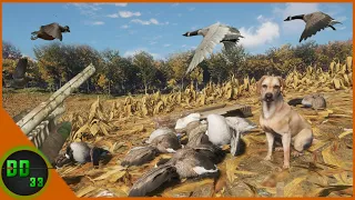 We Took Our New LABRADOR Retriever Quail & Goose Hunting! Call Of The Wild