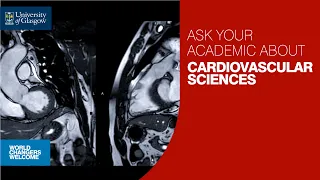 Ask Your Academic about MSc Cardiovascular Sciences at UofG 2024