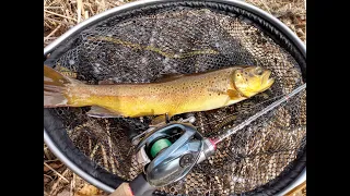 Found a new Amazing Trout Stream!