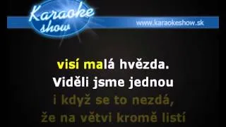 PAVEL ŠVÁB, BOHUMIL STARKA, OLYMPIC - HVĚZDA NA VRBĚ (karaoke ukážka)