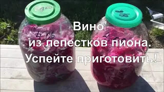 Пионовка.  Вино из лепестков пиона.