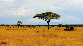 Unmasking East Africa's Fascinating Climate | Equator