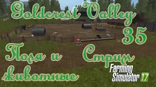 Farming Simulator 17, карта Goldcrest Valley, прохождение, #35 Стрим "Поля и животные"