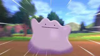 This is what happens when you transform your mew into ditto.