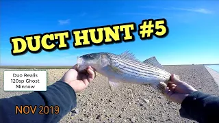 Search & Try to Destory for Striped Bass @California Aqueduct NOV 2019 w/Gary