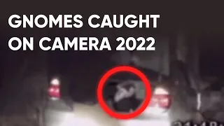 Gnomes Discovered | GNOMES Caught on camera 2022 Treefolk