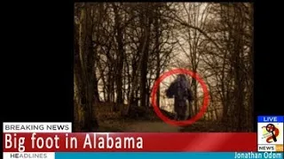 Bigfoot Stalks hunter in Alabama... Shots fired!  The Alabama Bigfoot hunter Jonathan Odom