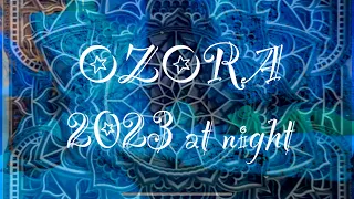 OZORA Festival 2023 | Movie at night - music & video by Sifu Void