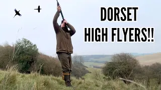 AWESOME PHEASANT SHOOTING | HIGH BIRDS!! | WHAT A DAY!!
