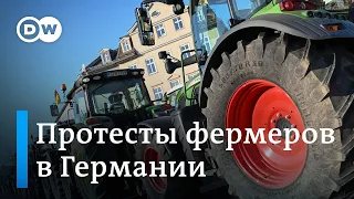 Протест против политики Берлина: почему немецкие фермеры ругают правительство