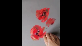 How to paint. SoftPastel Poppys