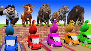 5 Giant Duck, Monkey, Lion, piglet, cow, kangaroo, Tiger, Sheep, Transfiguration funny animal 2023