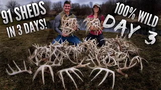 Day 3 of Finding 91 SHEDS IN 3 DAYS! | Bowmar Bowhunting |