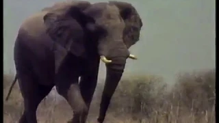 CH4 Out of Africa Ep 2 Drought of the Century (narrated by Sean Barrett) (Sept 1997)