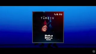 Nalani - Târziu | NoMad Digital Remix