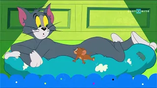 Cartoonito CEE (Polish/English) - The Tom and Jerry Show - Next Bumper (2023-)