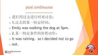 PET Grammar Past Continuous