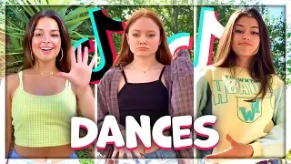 Ultimate TikTok Dance Compilation #19