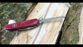 Splitting a log with a Swiss Army Knife!