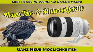 Unser neues Objektiv - Sony FE SEL 70-200mm 4.0 G II Macro - Kurz vorgestellt und erste Bilder