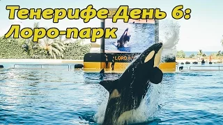 Тенерифе. День 6: Лоро-парк