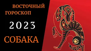 Собака - Китайский гороскоп 2023 Знаки Восточного гороскопа по годам | Что значит твой Год Рождения?