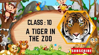 A Tiger in the Zoo | Nelson Mandela | cbse ncert