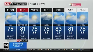 Miami Weather for Monday 1/8/2023 12PM