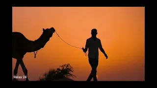 Sahara || Camel Drivers at Sunset with Arabian Music for Sleeping, Study & Relaxation