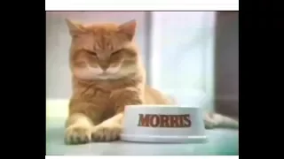 9-Lives Cat Food 'Morris' Horoscope' Commercial (1978)