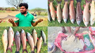 best bait for Rohu fishing 🎣🎣🎣